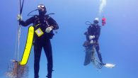 What started in the Florida Keys could go nationwide, and that’s a good thing. The National Marine Sanctuary Foundation is out with a report on the impact of marine debris cleanups as part of a program called Goal: Clean Seas […]