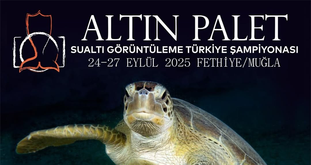 Altın Palet Sualtı Görüntüleme 2025