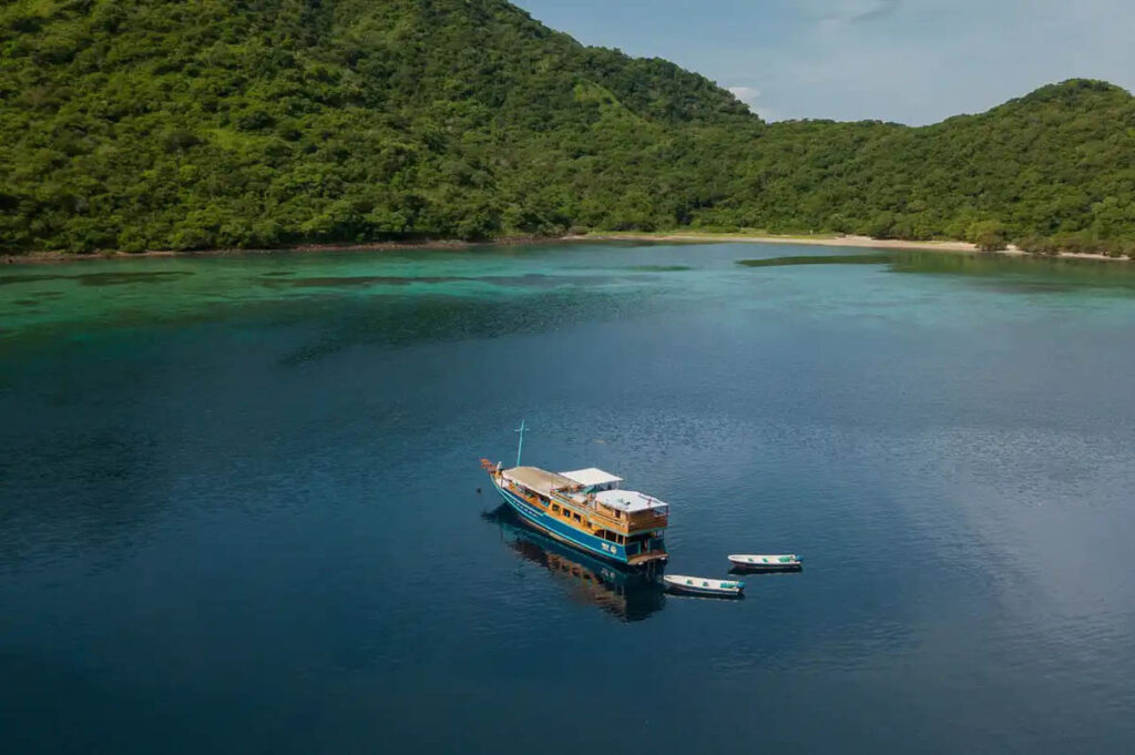In the coral-rich waters of Indonesia’s Komodo National Park, where