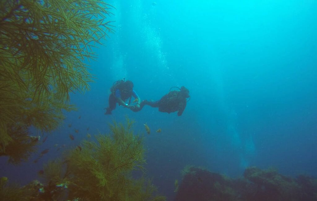 The Andaman and Nicobar Islands are set to welcome more