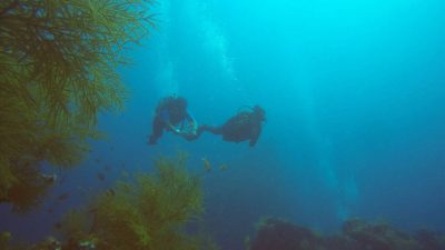 The Andaman and Nicobar Islands are set to welcome more