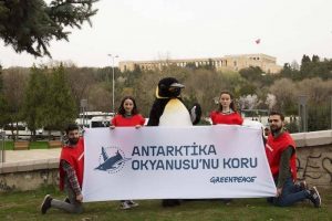 Bilim insanları Antarktika’daki buz kaybının hızlandığını ve deniz seviyelerinin tehlikeli
