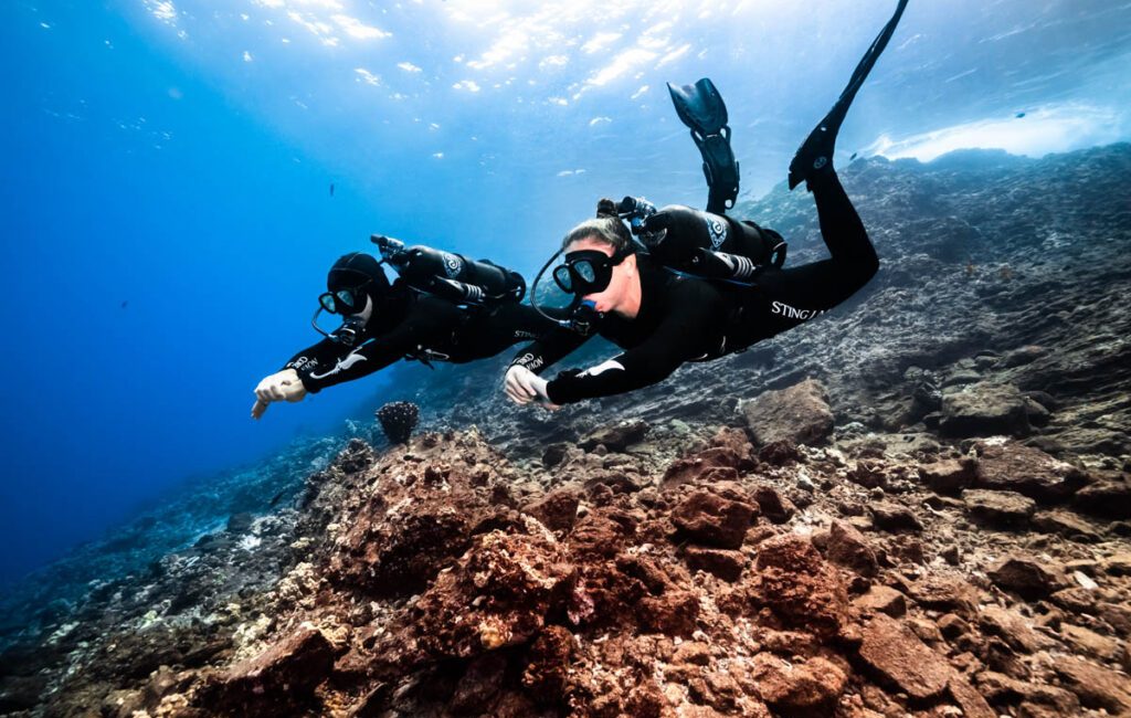 Yeni Avelo Diver eğitimi sayesinde, yeni başlayanlar artık şirketin alternatif