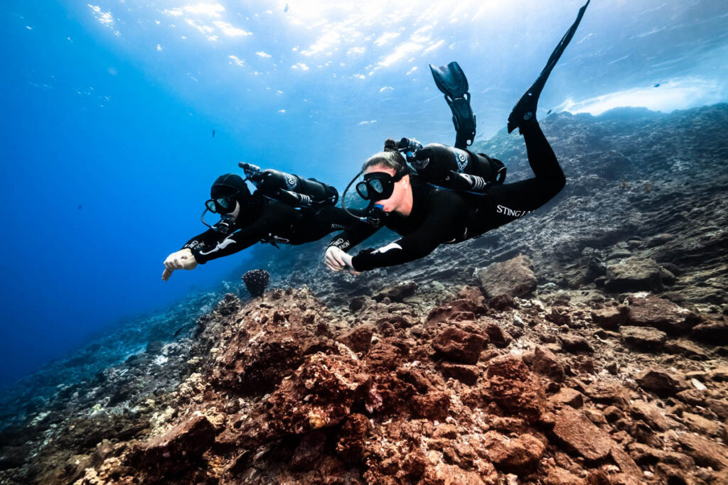 Yeni Avelo Diver eğitimi sayesinde, yeni başlayanlar artık şirketin alternatif