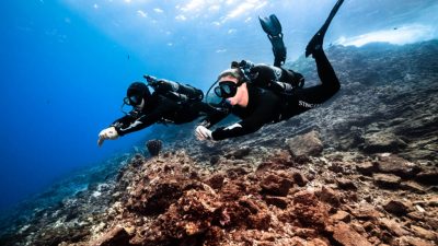 New Avelo Diver training means newcomers can now learn to