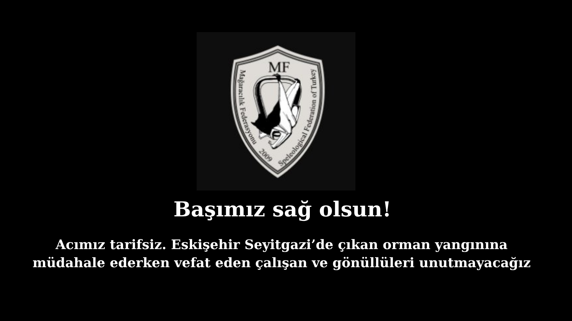 Başımız sağ olsun! Acımız tarifsiz. Eskişehir Seyitgazi’de çıkan orman yangınına