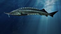 The $93.2 billion budget passed by the Legislature last week includes more than $400 million in spending tied to appropriations requests filed by lawmakers. The Animal Rights Foundation of Florida on Monday asked Gov. Ron DeSantis to scratch out one […]
