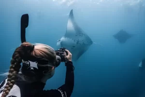 A volunteer taking manta ID photographs in the Maldives (Photo: