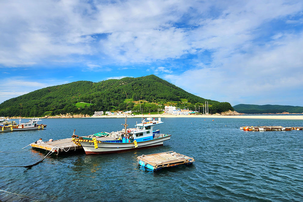 A diver in his 50s has died after being recovered
