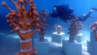 Sanatın zaman ve mekan gözetmeksizin her ortamda yapılabileceğinin göstergesi olan Bodrum Sualtı Heykel Parkı deniz sevgisiyle derinlik tutkusunu sanatta buluşturuyor. Bodrum Belediyesi Bodrum Deniz Müzesi ve Rotary 2440. Bölge’ye bağlı Mavi Ege Denizi Rotary Kulübü ve Project Poseidon iş birliğiyle […]