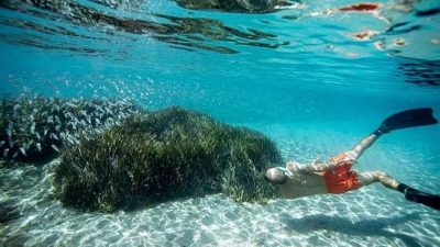 Project Posidonia kapsamında hazırlanan ve Türkiye'nin bugüne kadarki en kapsamlı