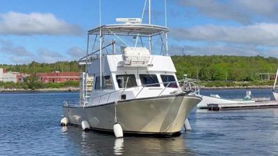 Atlantic Shark Expeditions offers unparalleled opportunities to safely view and