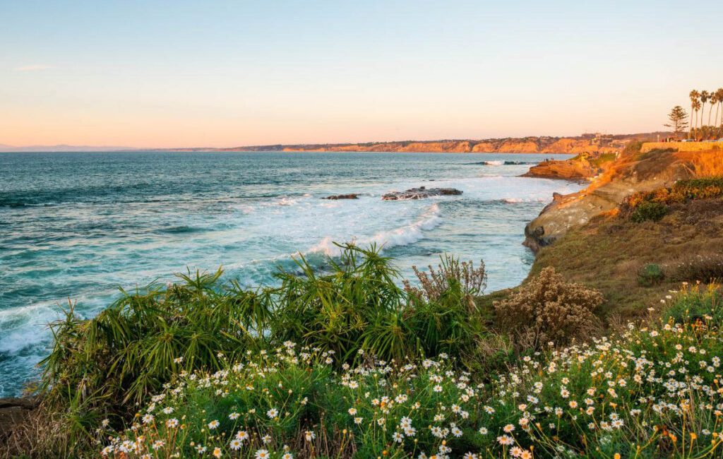 California’s beaches are a treasured part of its landscape, renowned