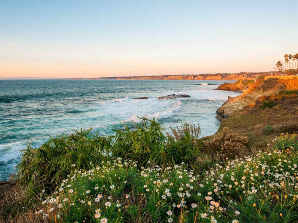 Unique Ways California Keeps Its Beaches Healthy California’s beaches are a treasured part of its landscape, renowned