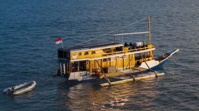 If you’re dreaming of diving in Komodo National Park without