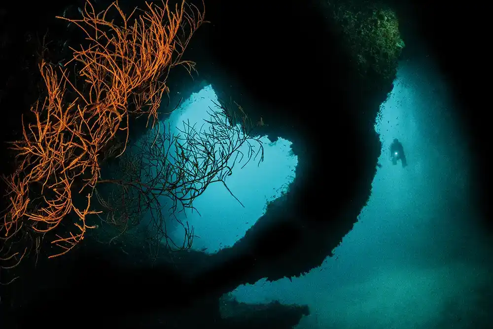Stick to the usual Raja Ampat dive sites and you’re
