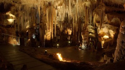 A 65-year-old Victorian man has died following a diving incident