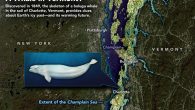 By ADAM VOILAND The unexpected discovery of a whale skeleton hundreds of miles from the sea and more than 200 feet above sea level in 1849 is a reminder of how much sea level can change. In August 1849, a […]