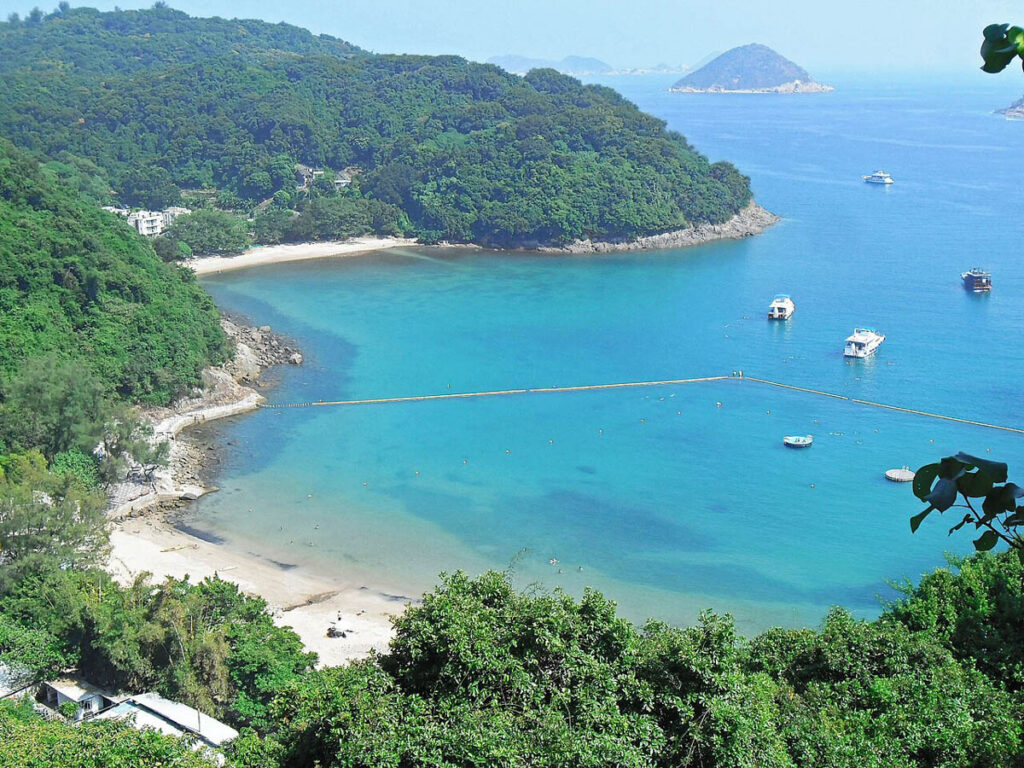 A scuba diver has been seriously injured after being struck