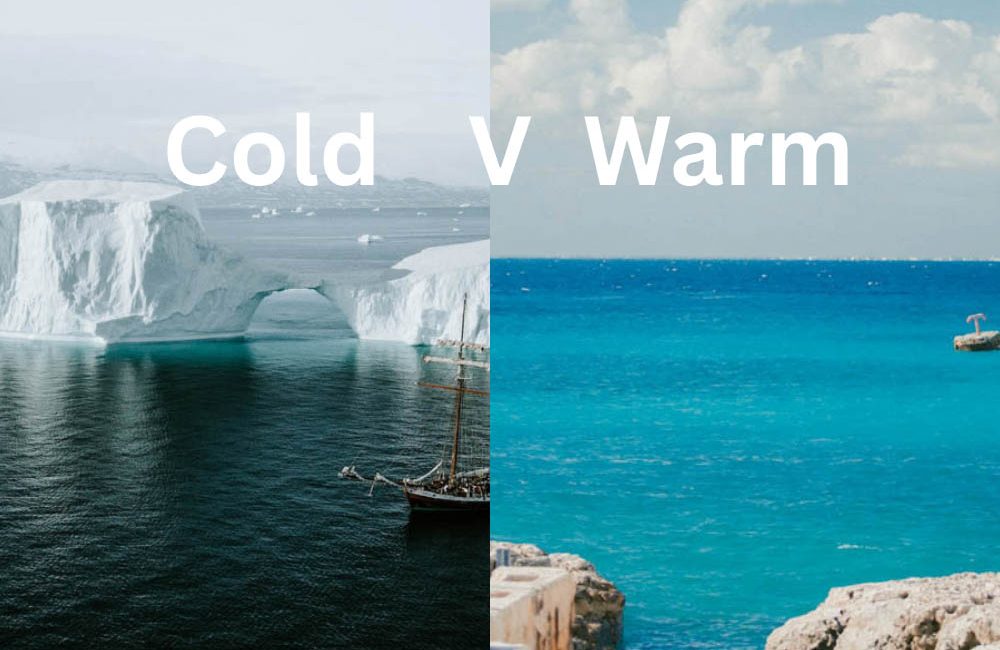 Below the Thermocline: Why Cold Water and Warm Water Diving Offer Two Very Different Oceans Scuba diving is often imagined as a warm-water pursuit, clear
