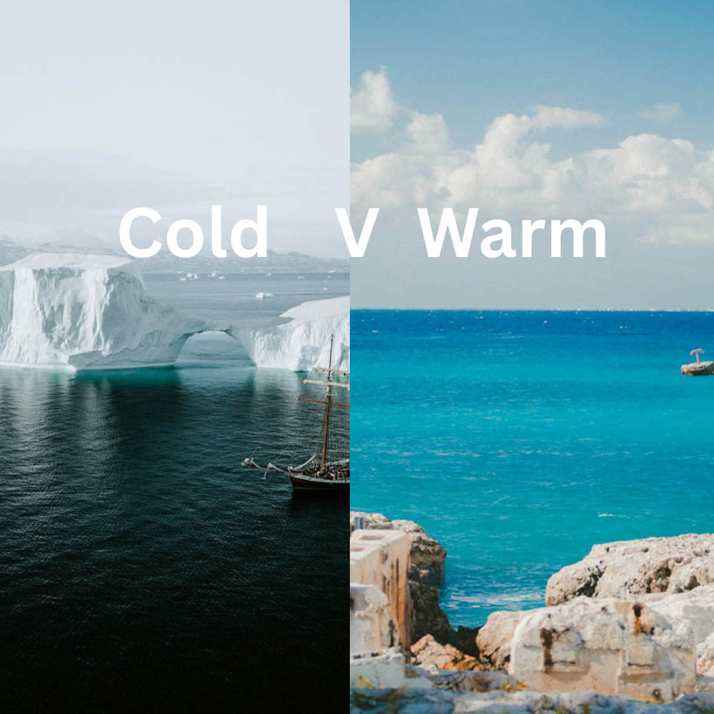 Below the Thermocline: Why Cold Water and Warm Water Diving Offer Two Very Different Oceans Scuba diving is often imagined as a warm-water pursuit, clear