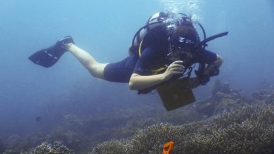 Ten years ago, The Scuba News reported from Coral Cay