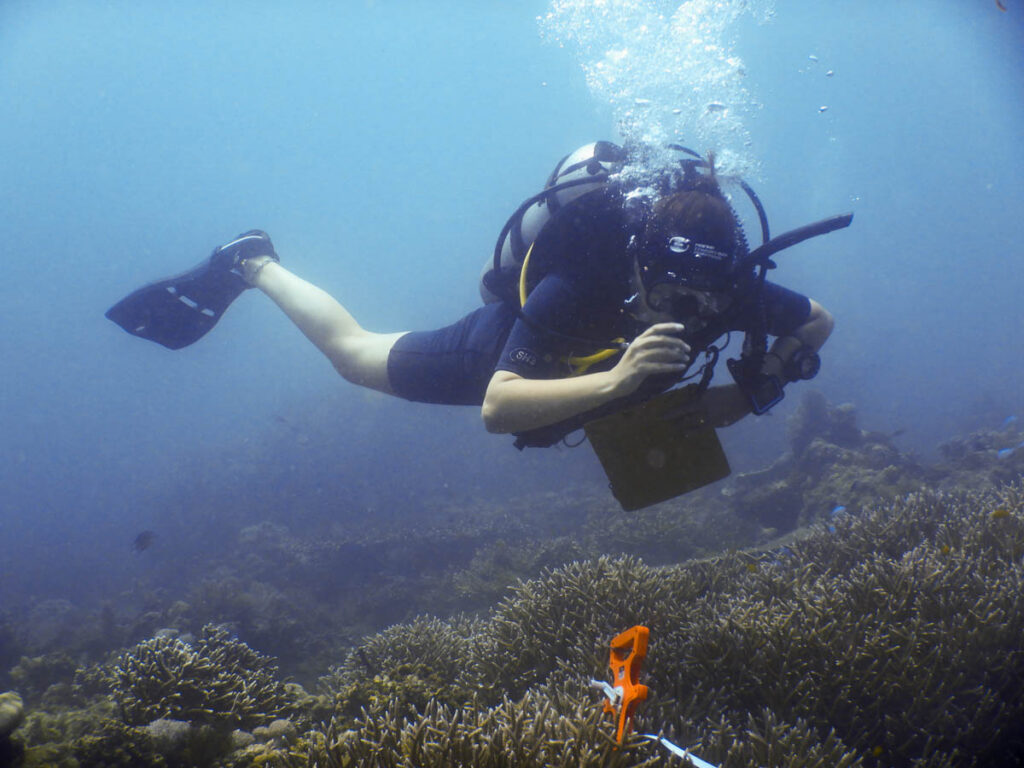 On yıl önce, The Scuba News, gönüllü dalgıçların mercan türlerini