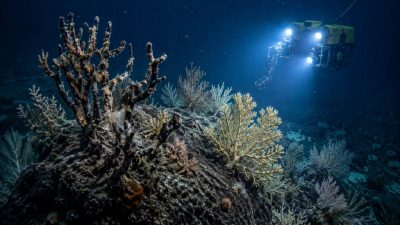 &nbsp; More than 16 years after the Deepwater Horizon disaster