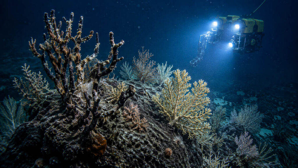 &nbsp; More than 16 years after the Deepwater Horizon disaster