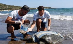 Antalya’nın Demre ilçesinde kıyıya vuran nesli tükenme tehlikesindeki yaralı ve