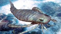 There are plenty of interesting-looking creatures to be found underwater today, but they’ve got nothing on the animals of oceans past. A recently uncovered fossil shows that scorpions the size of Labrador retrievers roamed the prehistoric seas. The newly-discovered specimen […]