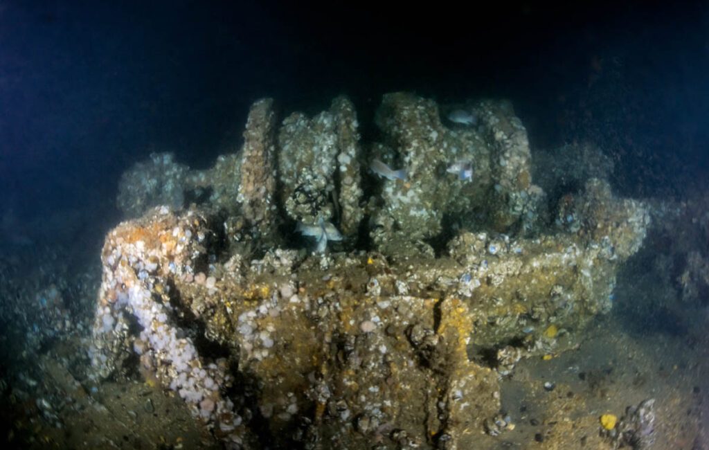 Atlantic Wreck Salvage (AWS), owner and operator of D/V Tenacious, today