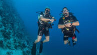 After three decades of exhilarating diving experiences and unforgettable encounters, Dive Point Red Sea, led by Regina and Matthias, announces the closure of its doors in June 2024, marking the end of an era in the diving community. With a mix […]