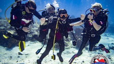 A diver slips beneath the surface for the first time