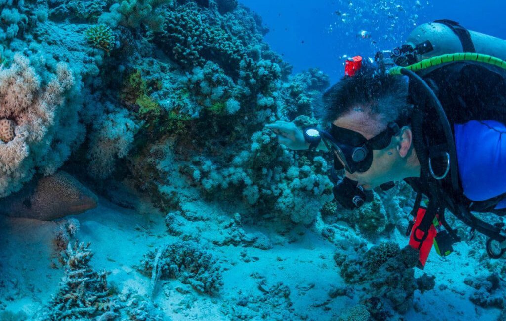 A dive site can look completely different from one day