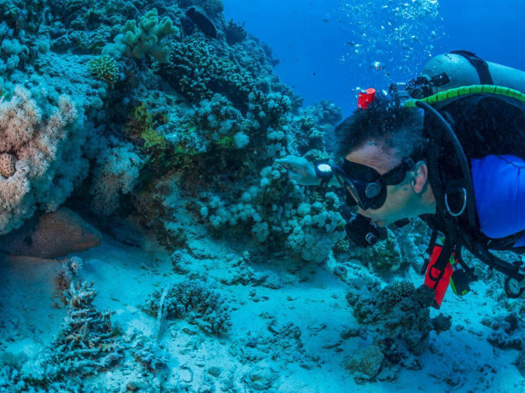 A dive site can look completely different from one day