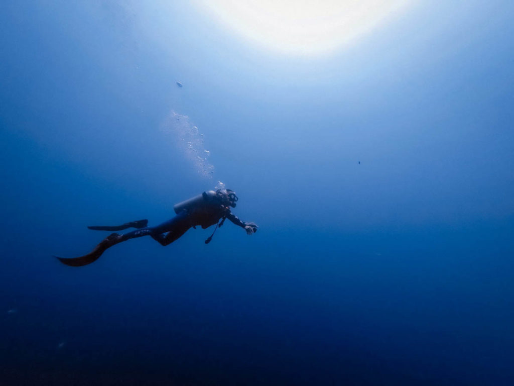 There is something magnetic about the ocean. We talk about