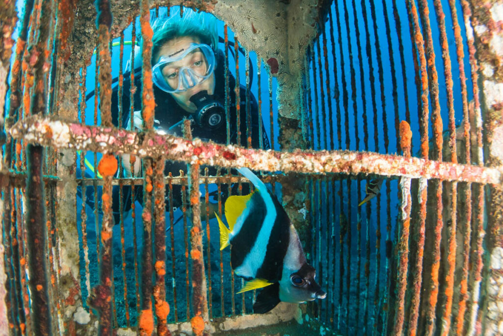 At The Scuba News, we spend most of our time