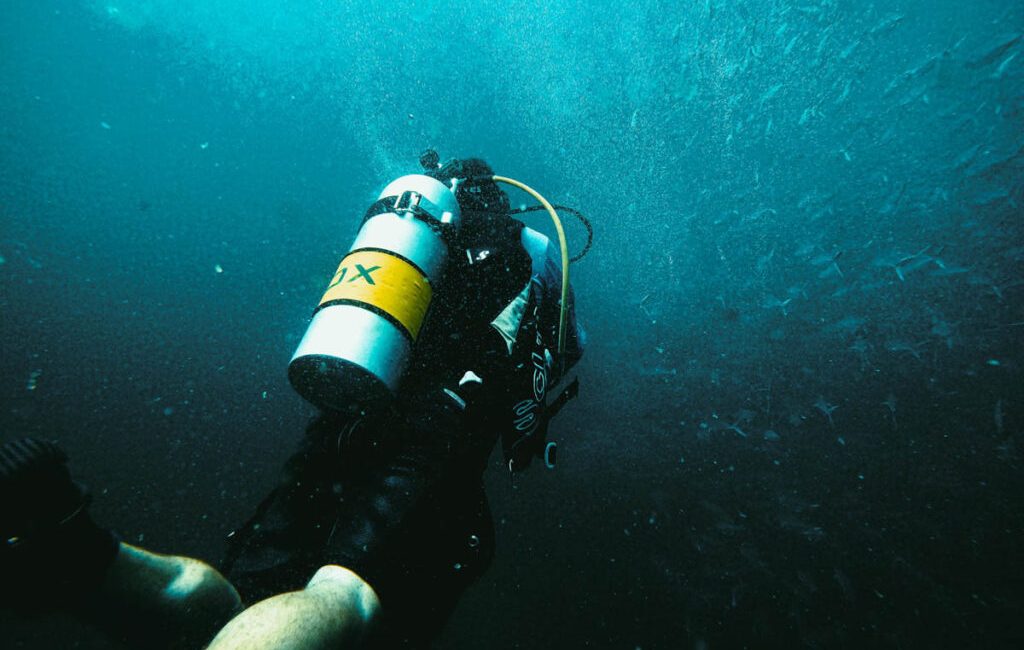 Diving is one of those activities that demands everything from