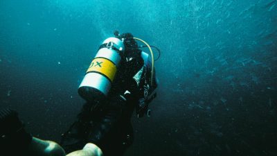 Diving is one of those activities that demands everything from
