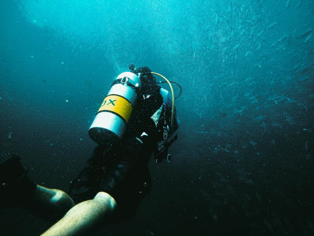 Diving is one of those activities that demands everything from