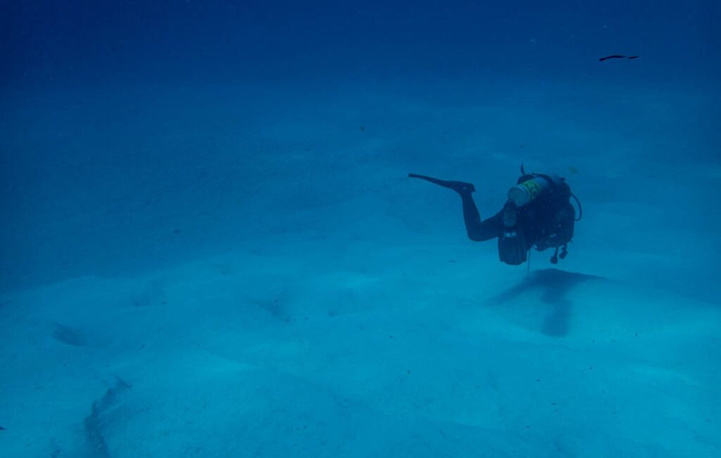 Accessible ocean tourism is rapidly shifting from a niche concern