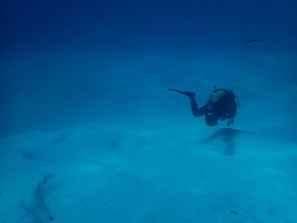 Accessible ocean tourism is rapidly shifting from a niche concern