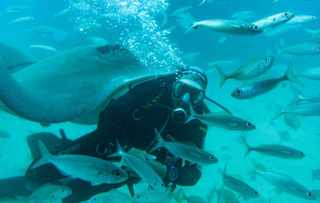 What Do You Wish You Had Known When You First Learned to Scuba Diving? Scuba diving has a habit of turning a single experience