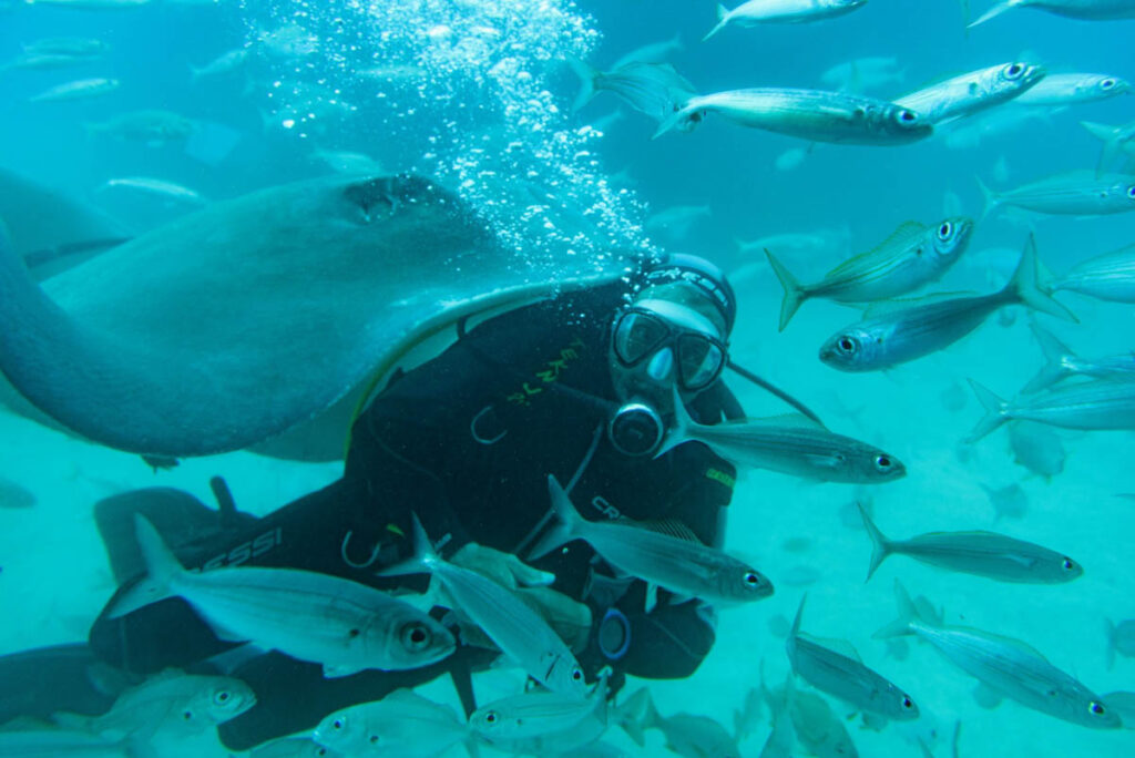 What Do You Wish You Had Known When You First Learned to Scuba Diving? Scuba diving has a habit of turning a single experience