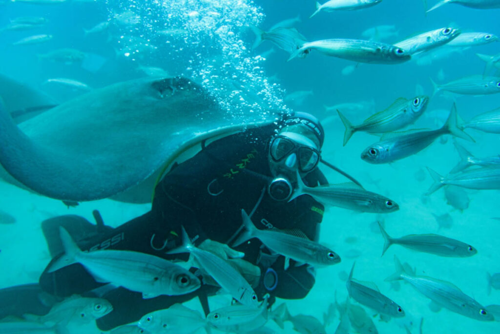 The Dark Side of Dive Certification Culture Walk into almost any dive centre and you will hear