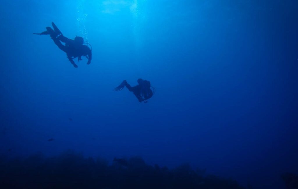 Slip beneath the surface and the world changes. Breathing slows.