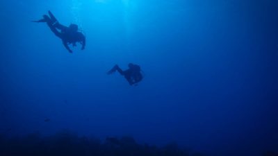 Slip beneath the surface and the world changes. Breathing slows.