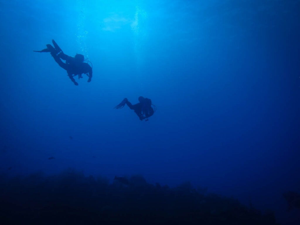 Diving With a Hangover: The One “Morning After” Mistake That Turns an Easy Dive Into a Risky One There is a particular kind of dive-day optimism that shows