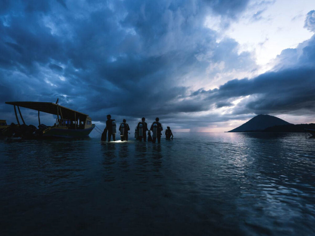 Choosing the Right Destination for Your Next Night Dive Night diving opens up a remarkable underwater world, brimming with